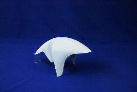 GBAV8  Garde Boue AV Cyclo MOD 95